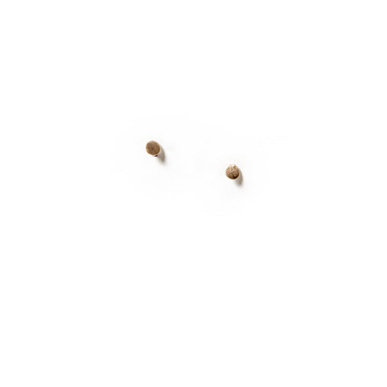 Tiny Dot Studs - Michelle Starbuck Designs