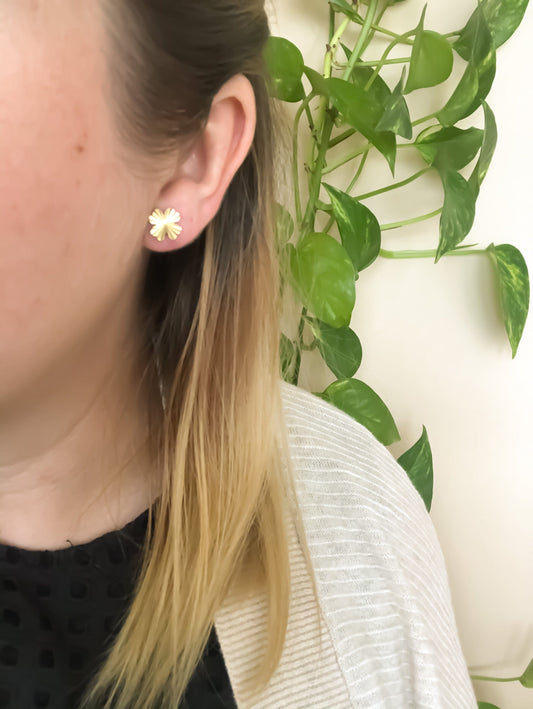 Clover Starburst Studs